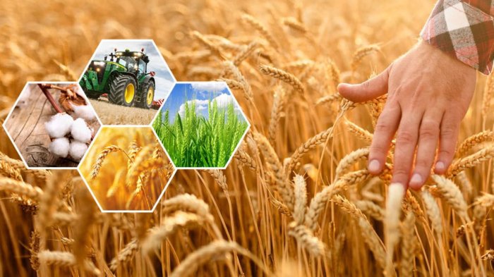 Общая характеристика сельского хозяйства России