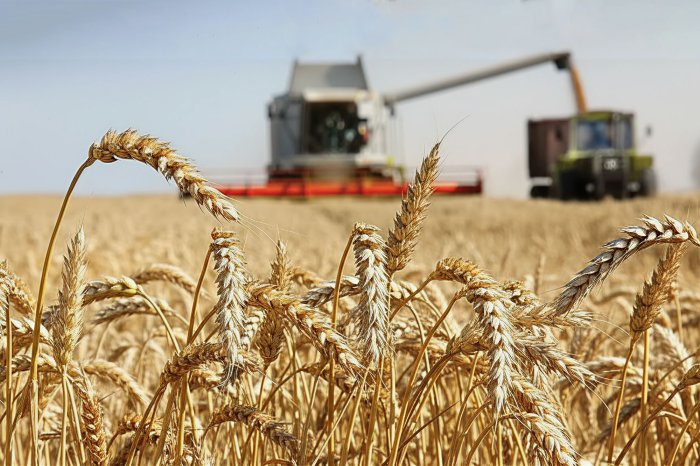 Агросезон-2025 в Самарской области