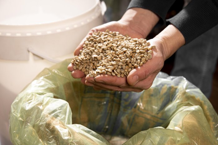 Системы транспортировки зерна