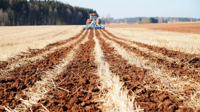 Актуальные тенденции дискования: путь к высоким урожаям