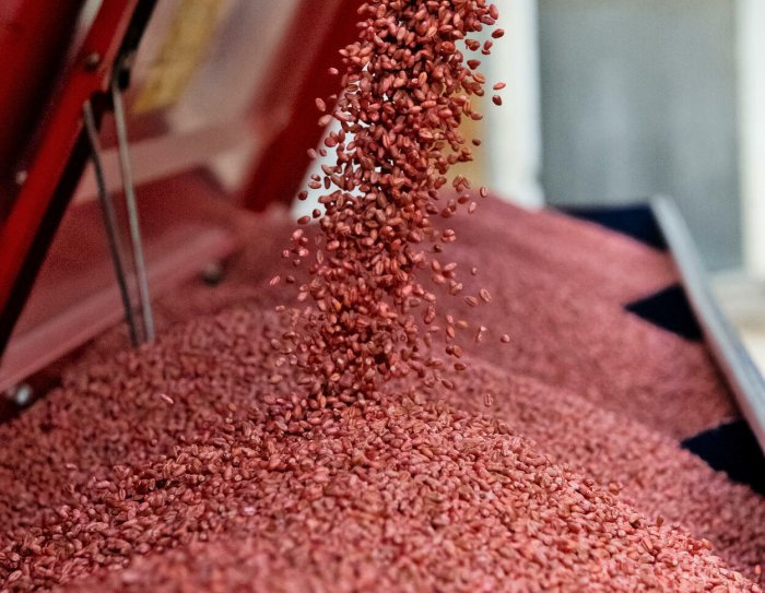 Компания "Агромаш" – оборудование для протравливания семян