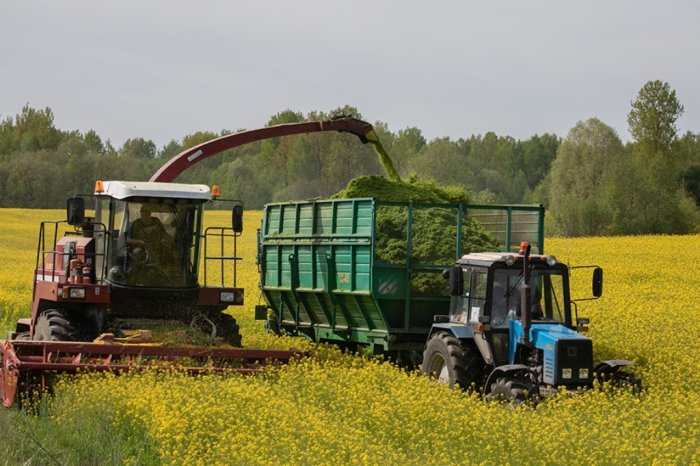 Как сделать силос превосходного качества
