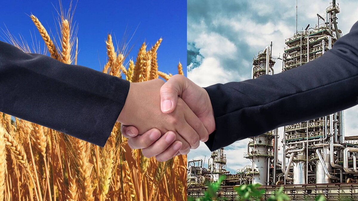 Максимизируйте прибыль: онлайн-платформа для выгодных зерновых сделок Максимизируйте прибыль: онлайн-платформа для выгодных зерновых сделок