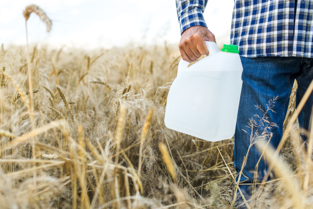 kanistra-ot-nasekomyh-v-psenicnom-pole.jpg kanistra-ot-nasekomyh-v-psenicnom-pole.jpg